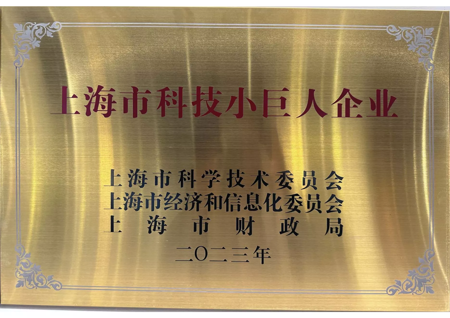 上海市科技小巨人